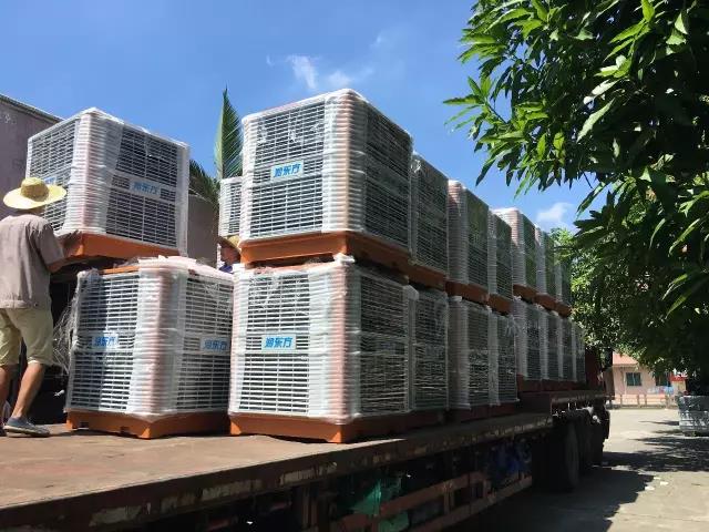 工廠車間快速降溫方法，你知道嗎？