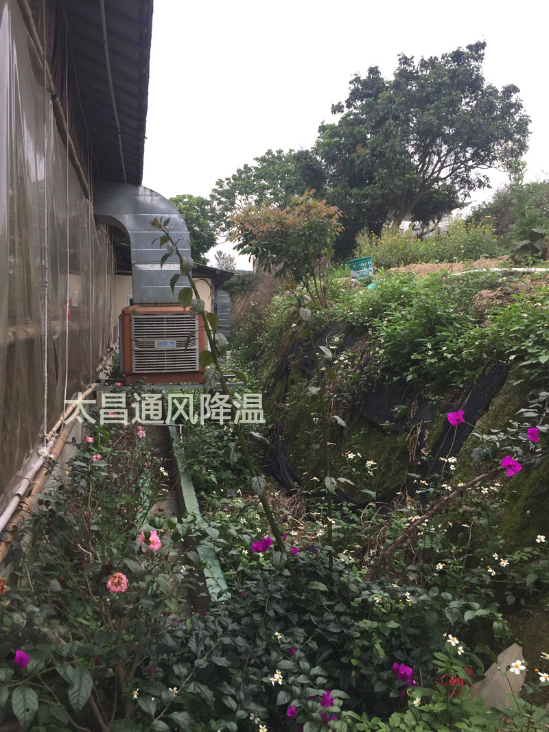 環(huán)?？照{