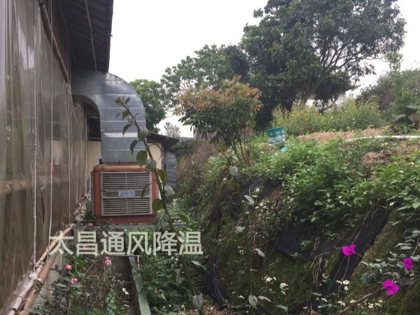餐廳太熱？環(huán)?？照{為你送清風