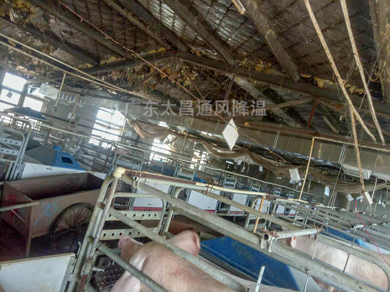 養(yǎng)殖場通風降溫常用設(shè)備3 養(yǎng)殖場通風降溫常用設(shè)備3